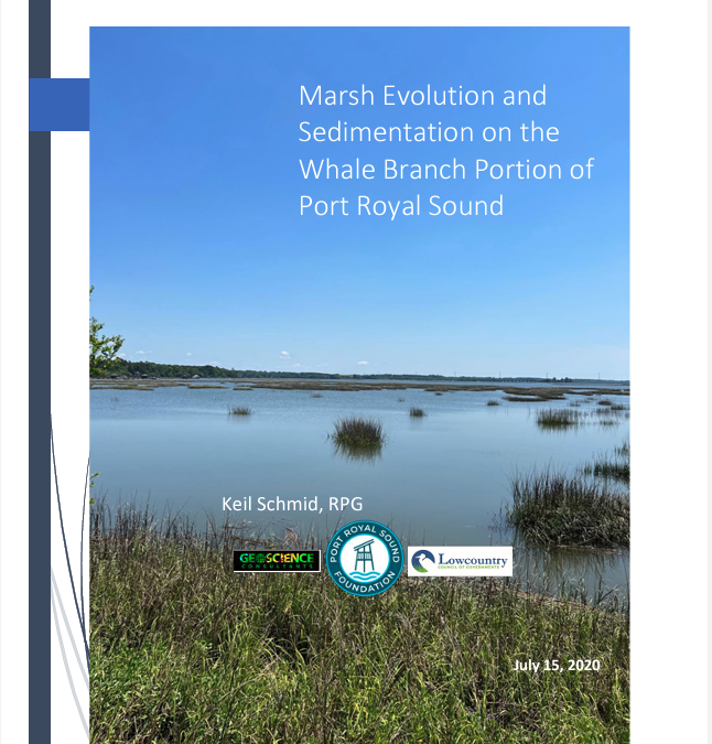 Marsh Evolution and Sedimentation on the Whale Branch Portion of Port Royal Sound